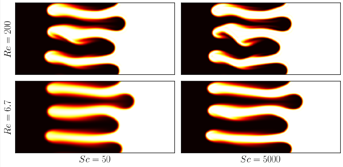 A viscous fingering patern from a LBM simulation